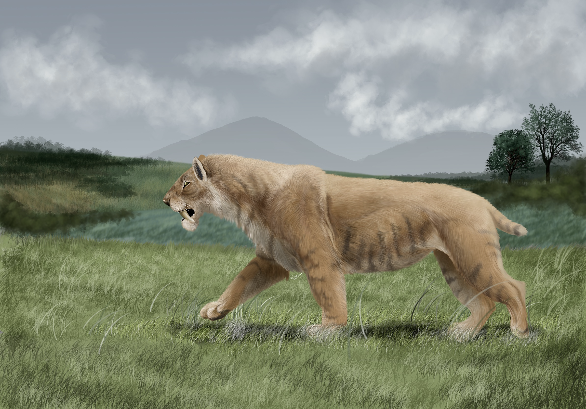 Smilodon