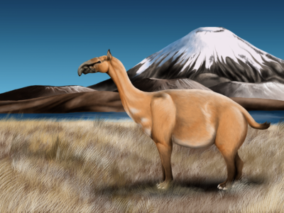 Macrauchenia