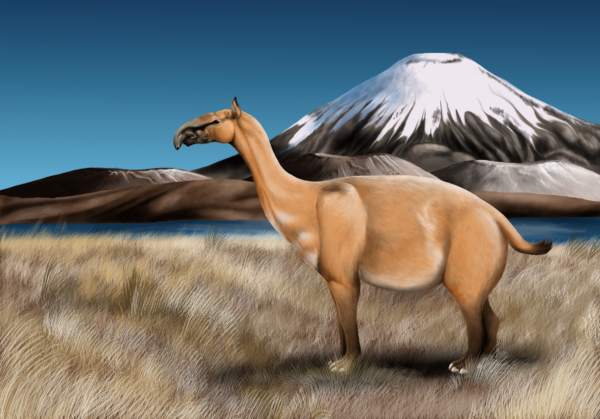 Macrauchenia
