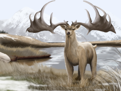 Megaloceros