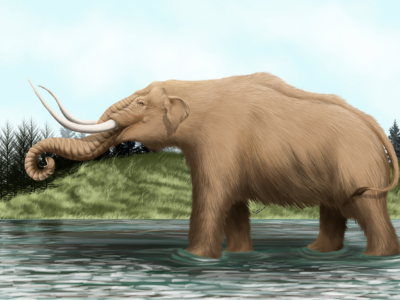 Mastodon